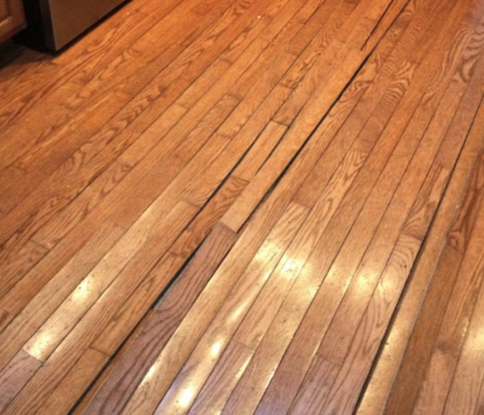 hardwood floors buckling in kitchen